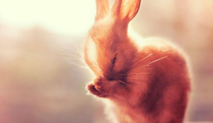 法国遭遇惨败,晋级前景堪忧