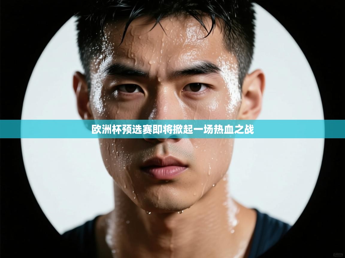 欧洲杯预选赛即将掀起一场热血之战  第2张