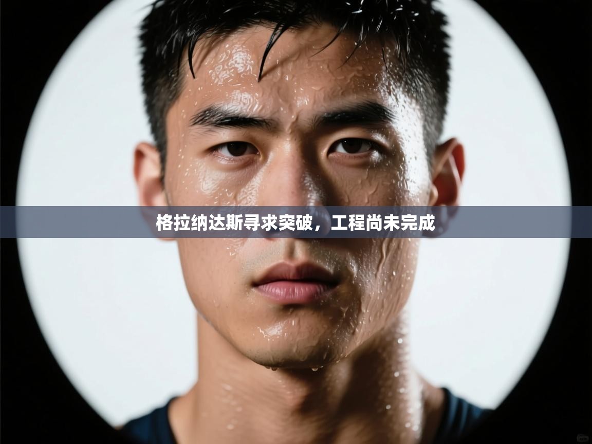 格拉纳达斯寻求突破，工程尚未完成