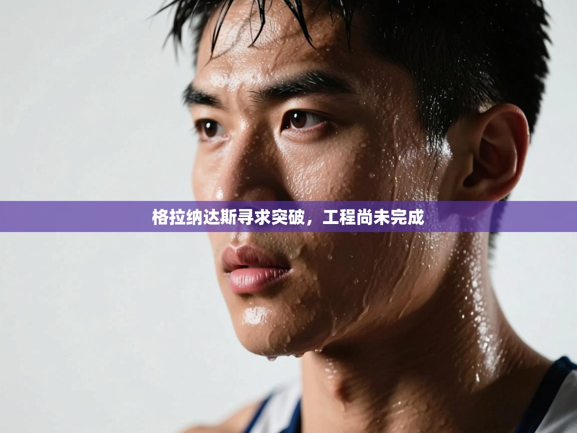 格拉纳达斯寻求突破，工程尚未完成  第2张