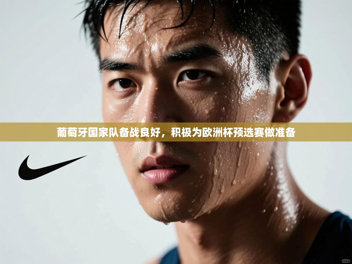 葡萄牙国家队备战良好，积极为欧洲杯预选赛做准备  第2张