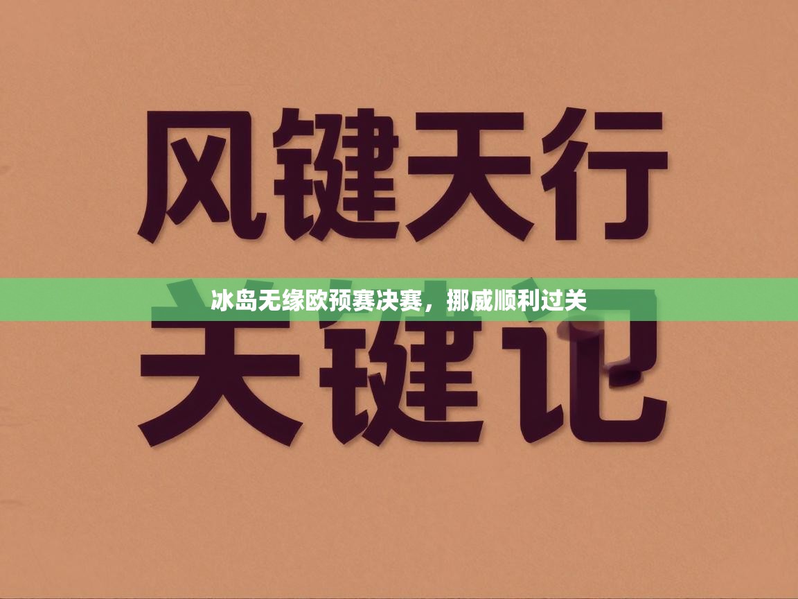 冰岛无缘欧预赛决赛，挪威顺利过关  第2张
