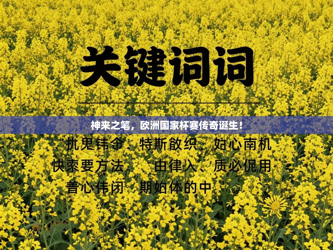 神来之笔，欧洲国家杯赛传奇诞生！  第2张