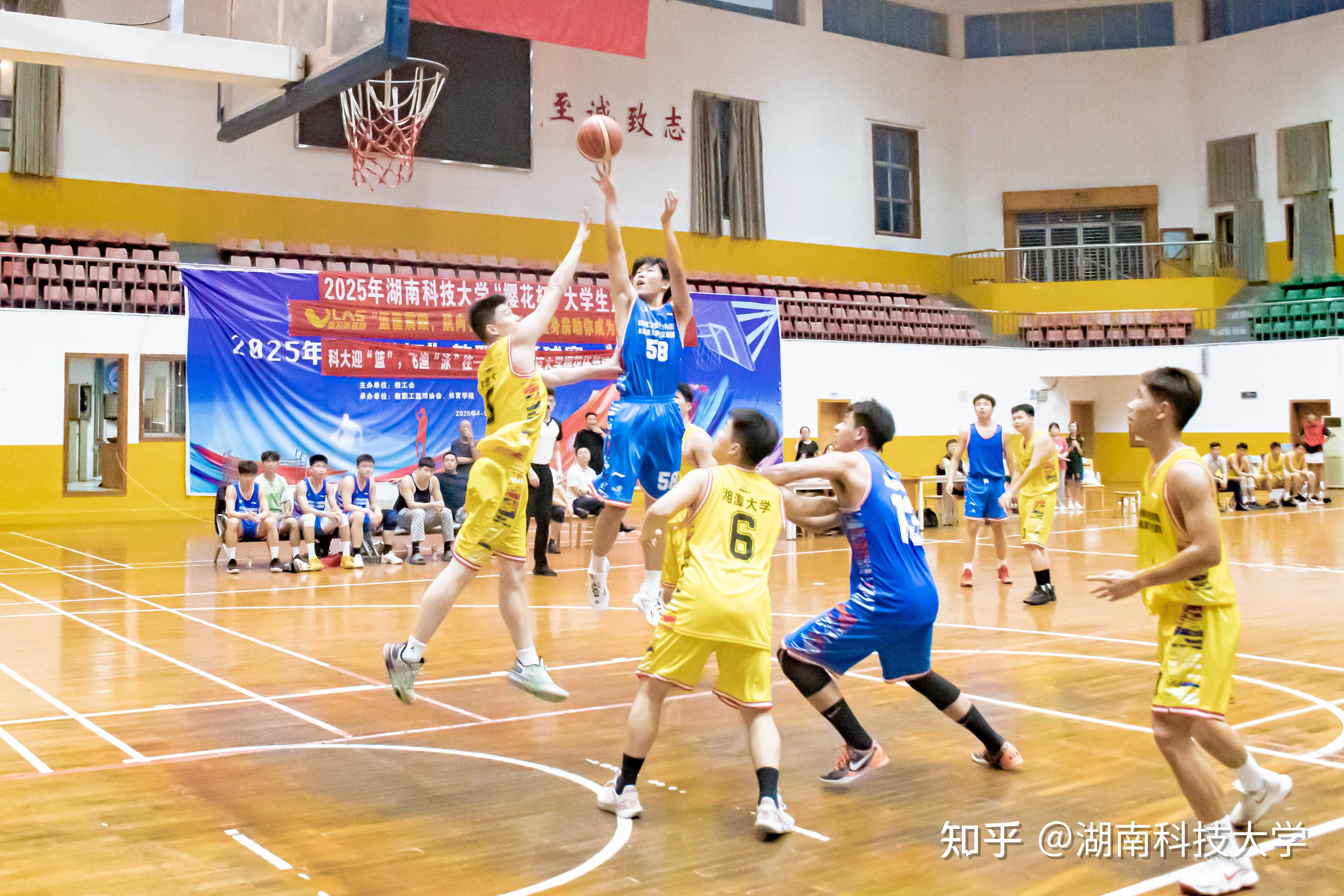 广东男篮灵魂拼搏，取得成功沐白光的简单介绍
